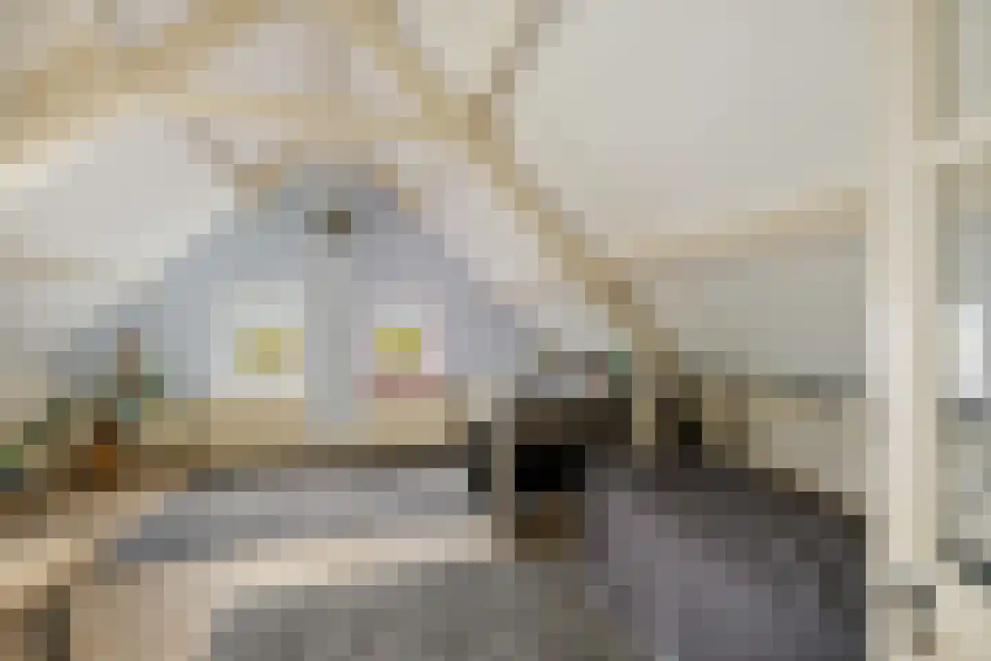 Tsjessenswei 5 Waaxens thumbnail 34