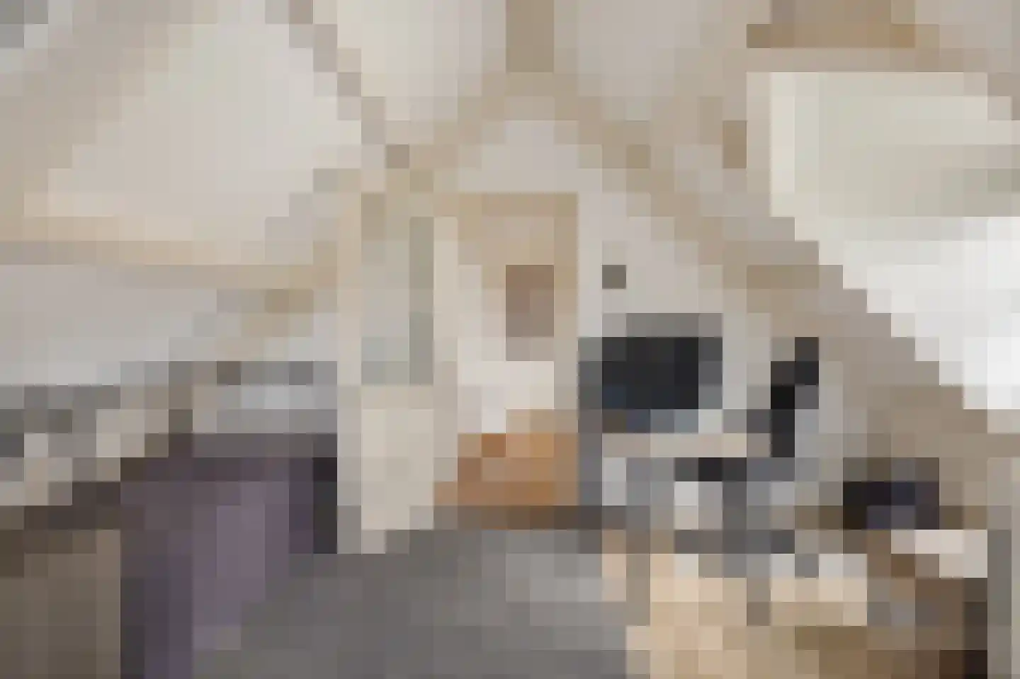 Tsjessenswei 5 Waaxens thumbnail 35