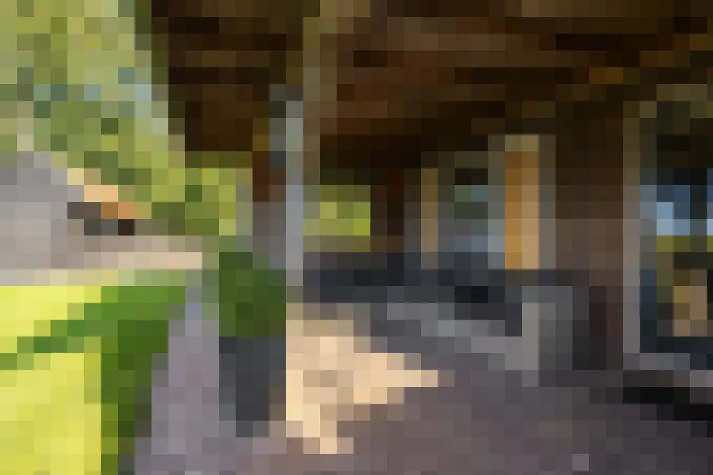 Tsjessenswei 5 Waaxens thumbnail 42