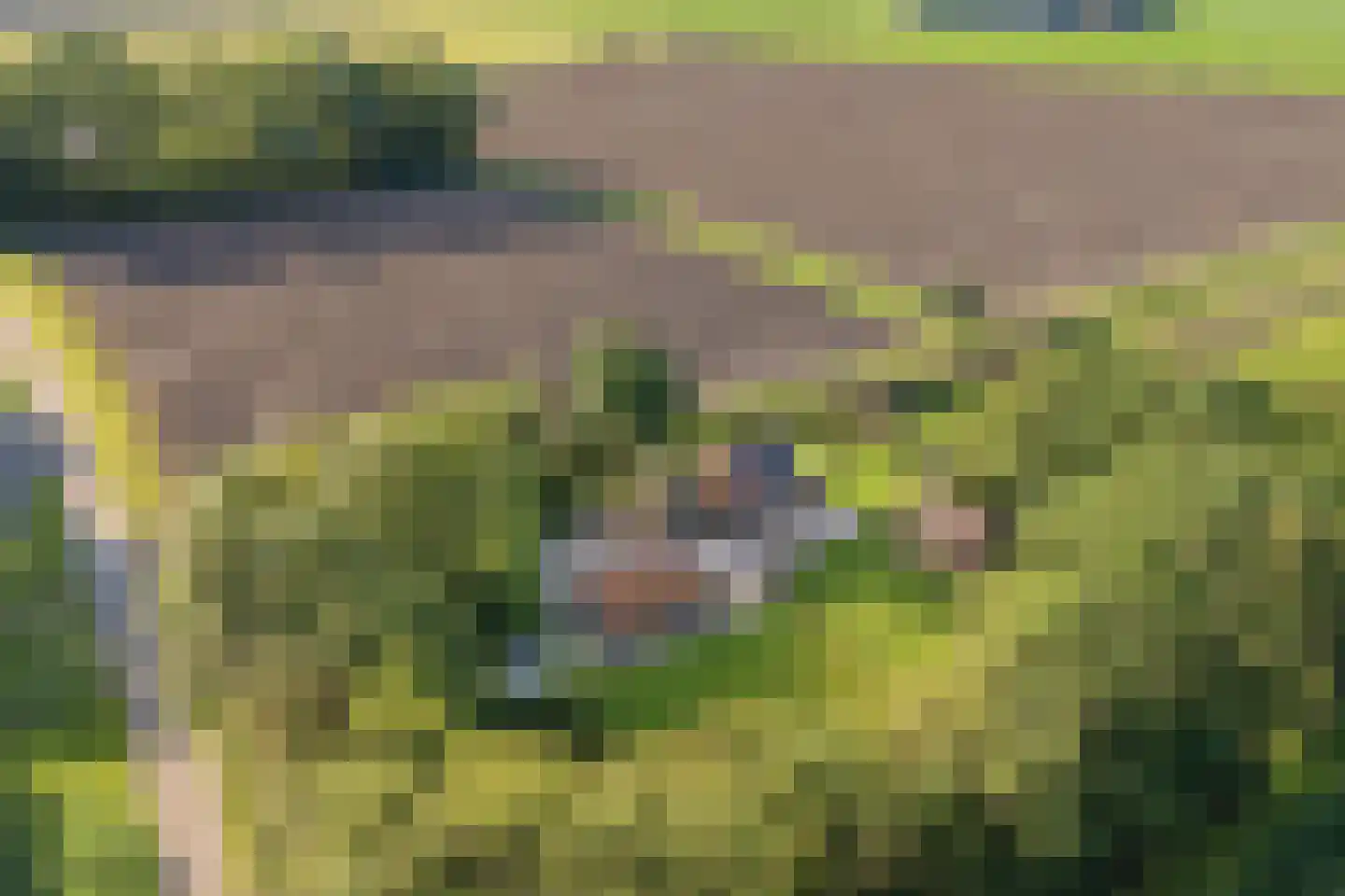 Tsjessenswei 5 Waaxens thumbnail 5