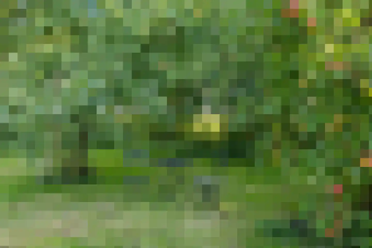 Tsjessenswei 5 Waaxens thumbnail 50