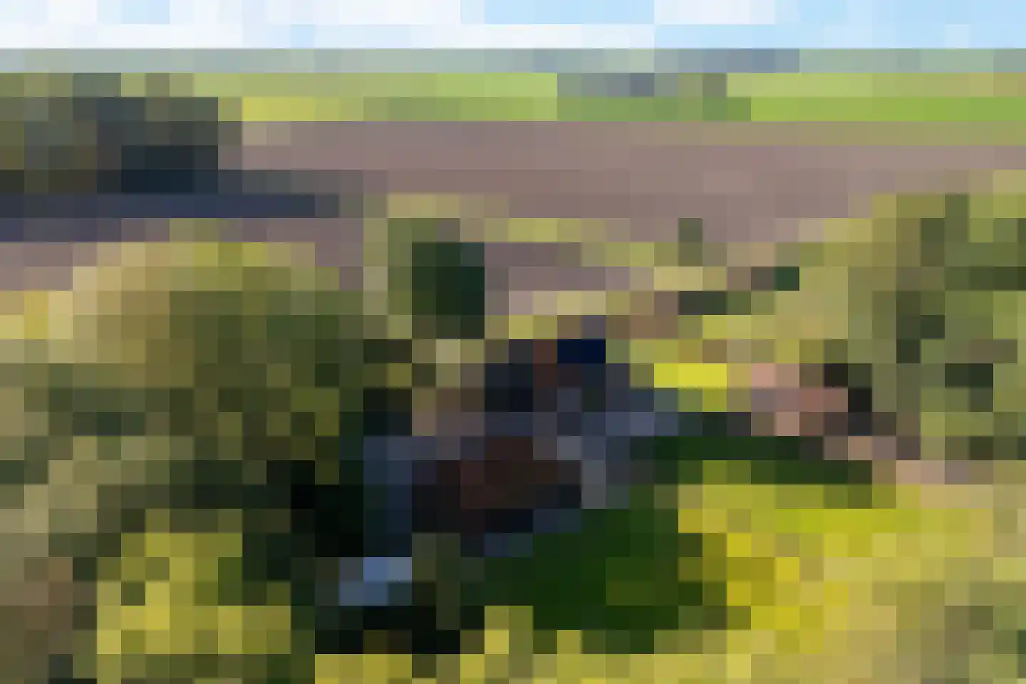 Tsjessenswei 5 Waaxens thumbnail 52