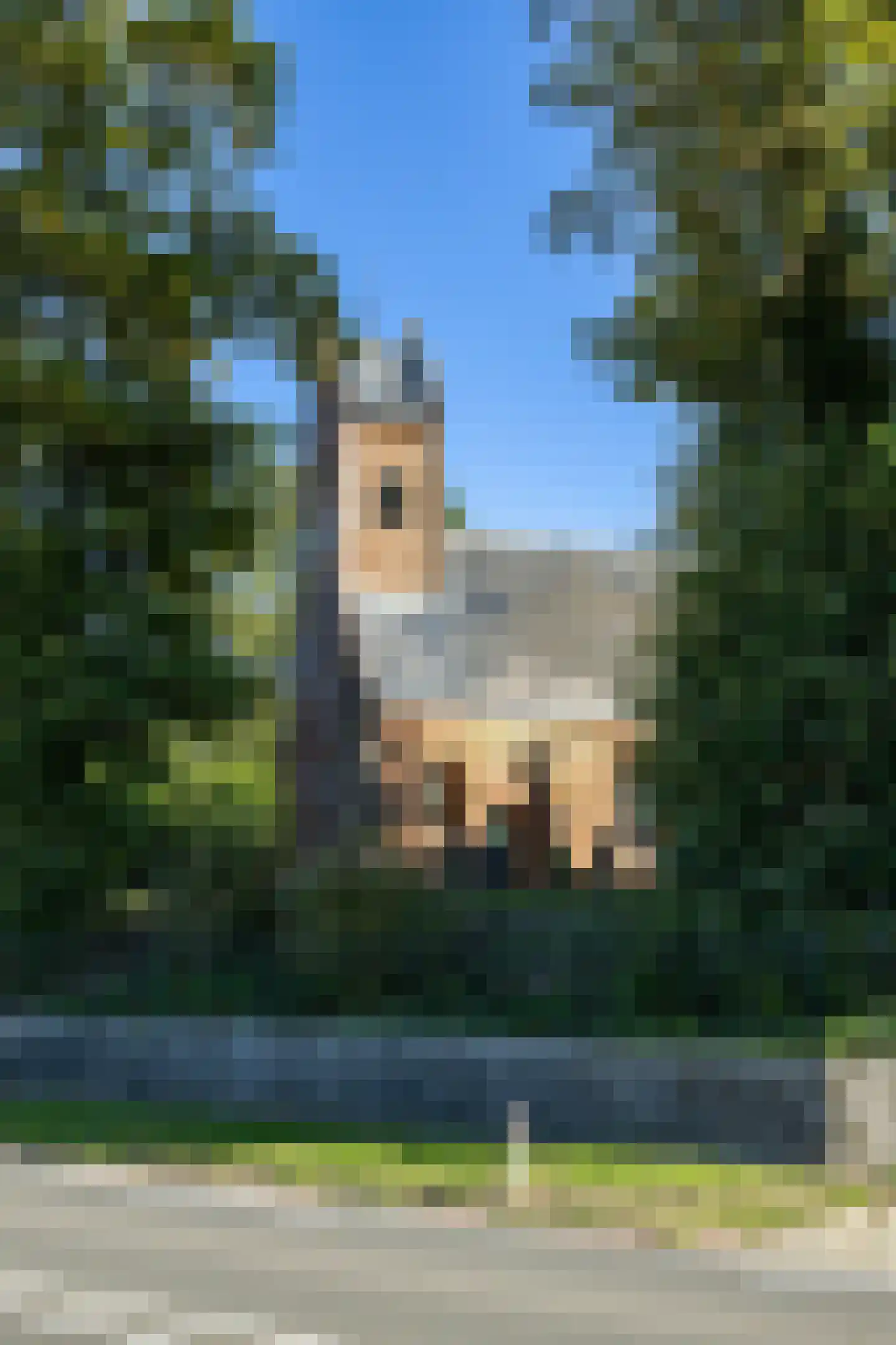 Tsjessenswei 5 Waaxens thumbnail 53