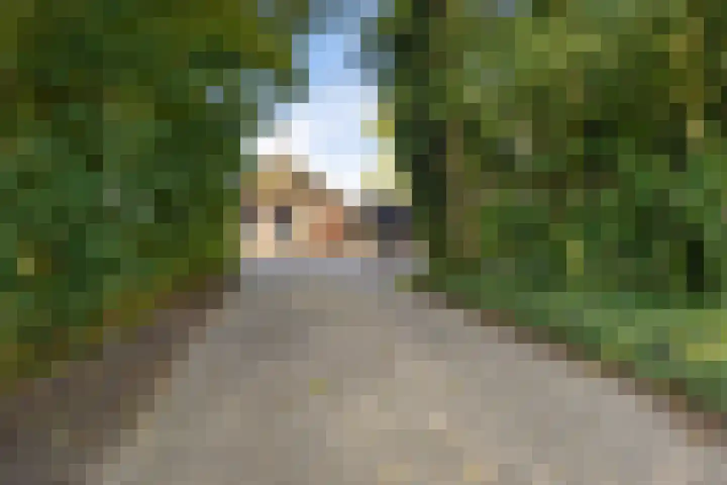 Tsjessenswei 5 Waaxens thumbnail 7