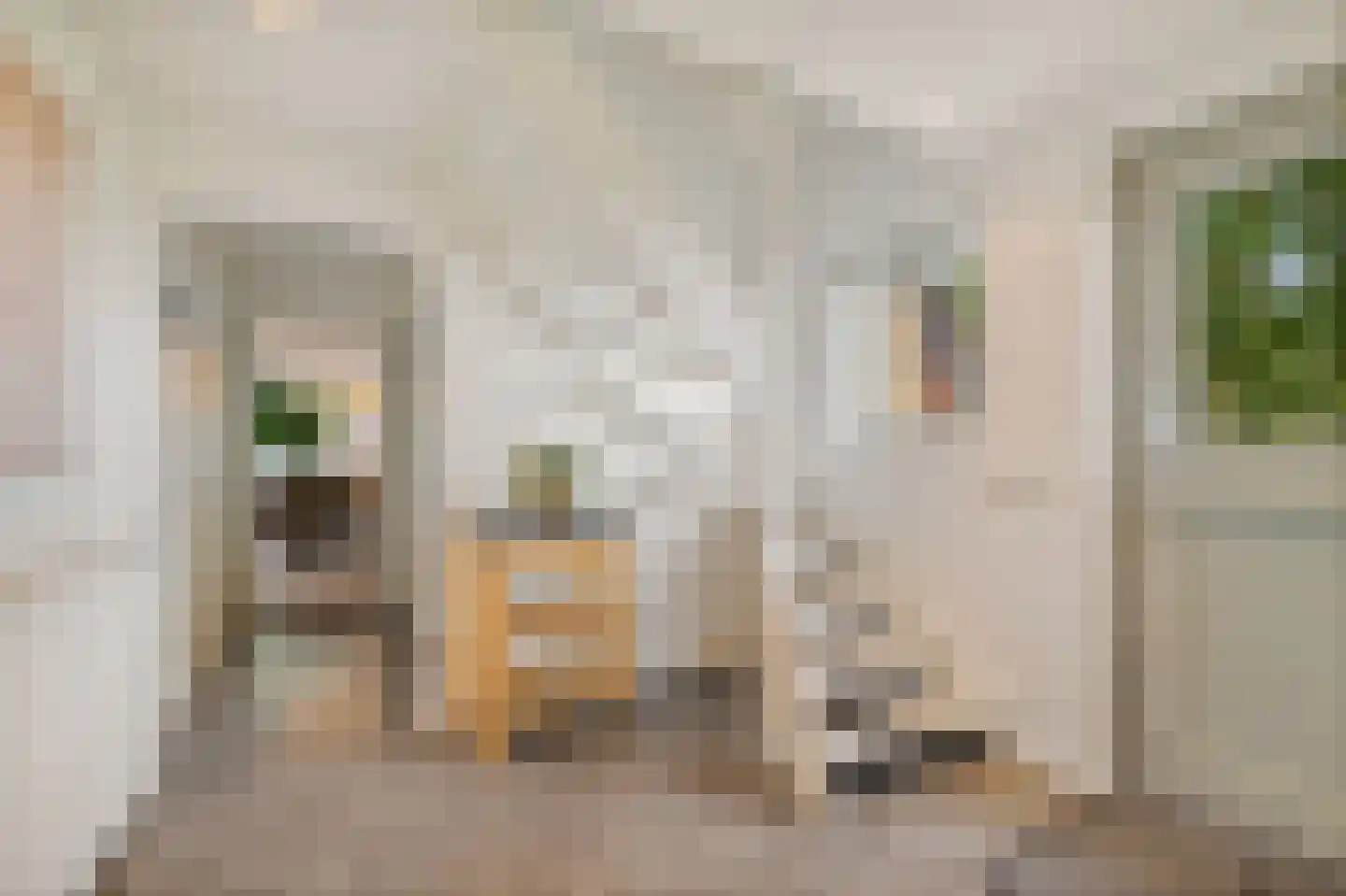 Tsjessenswei 5 Waaxens thumbnail 9