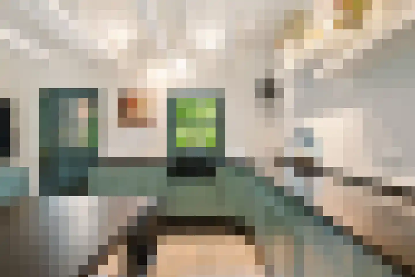 Tsjessenswei 8 Waaxens thumbnail 15
