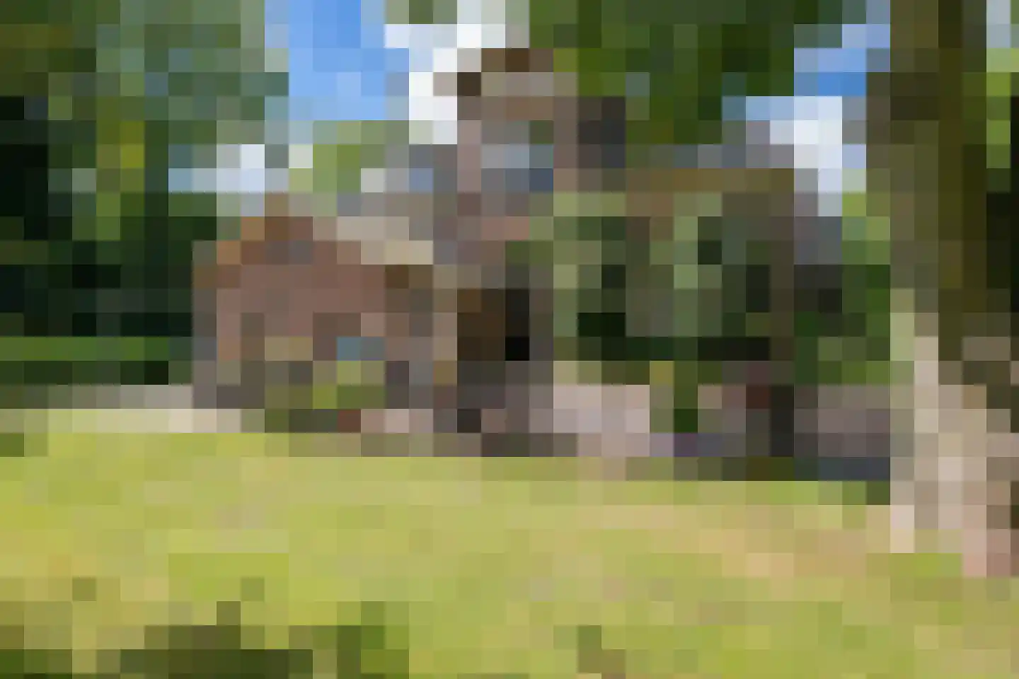 Tsjessenswei 8 Waaxens foto 2