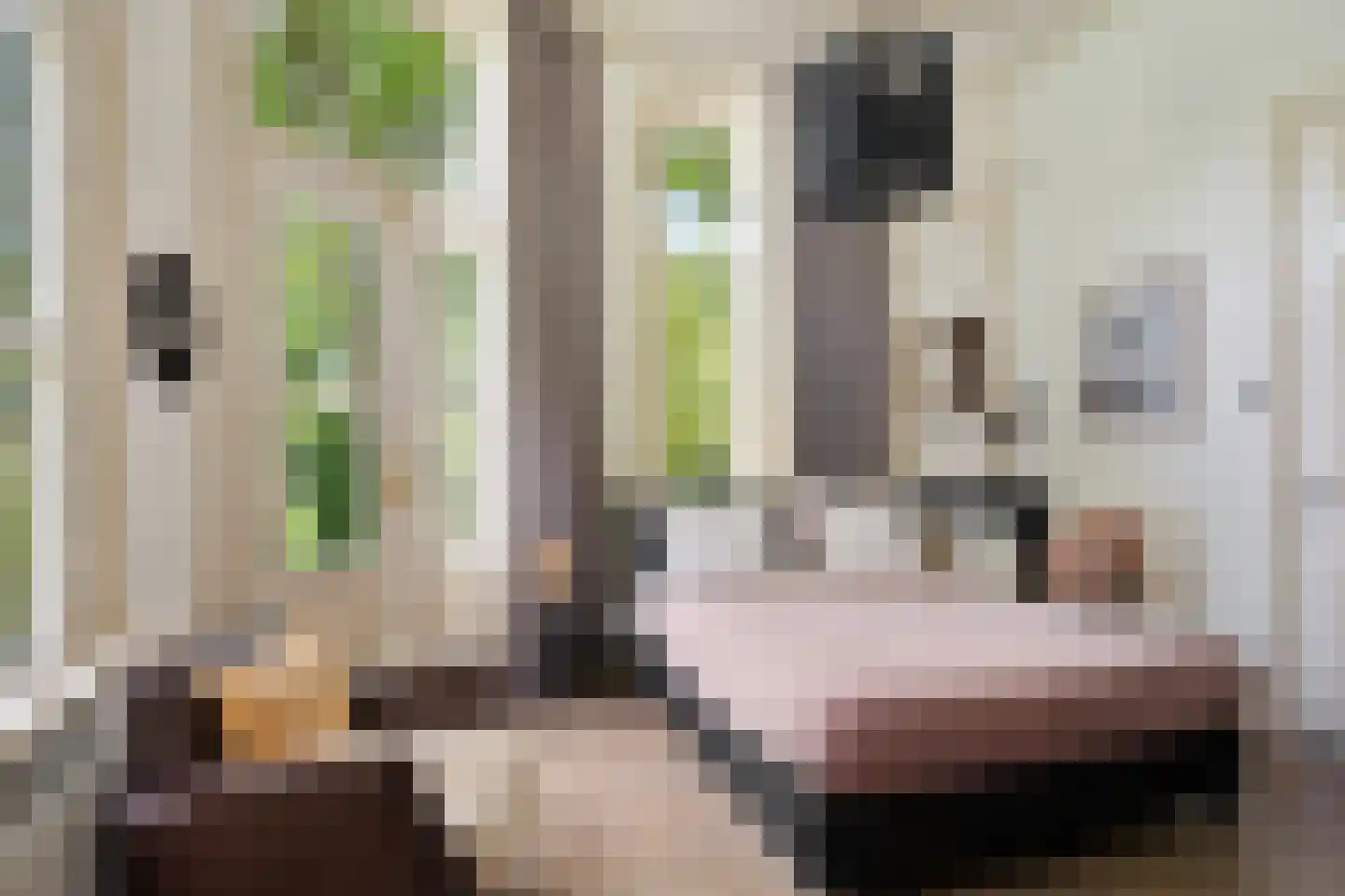 Tsjessenswei 8 Waaxens thumbnail 23