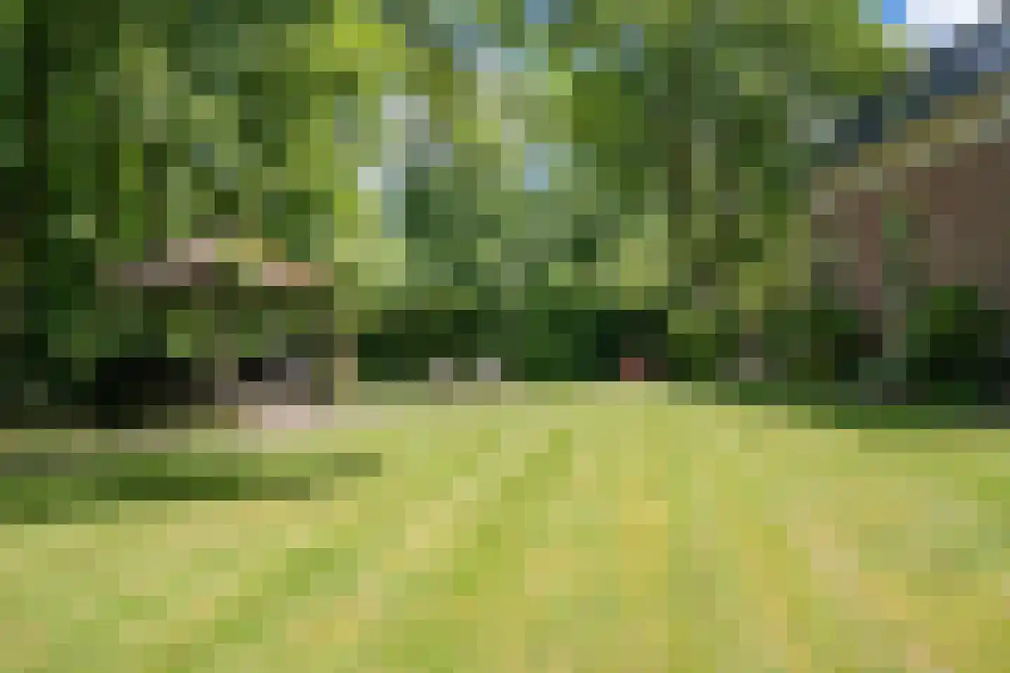 Tsjessenswei 8 Waaxens thumbnail 24
