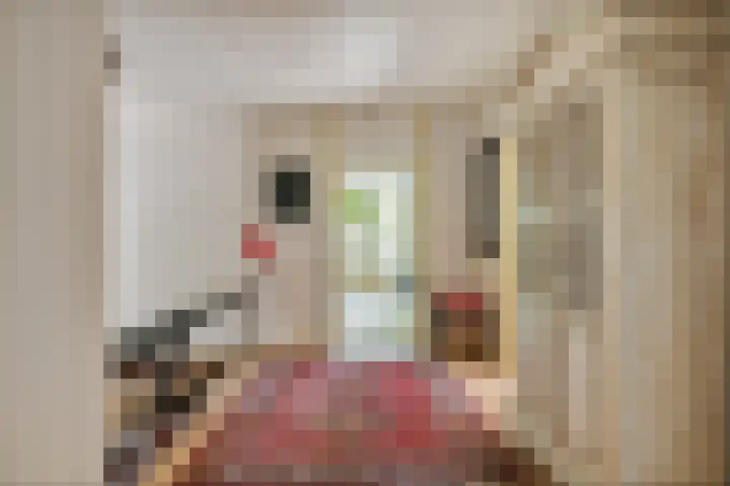 Tsjessenswei 8 Waaxens thumbnail 26