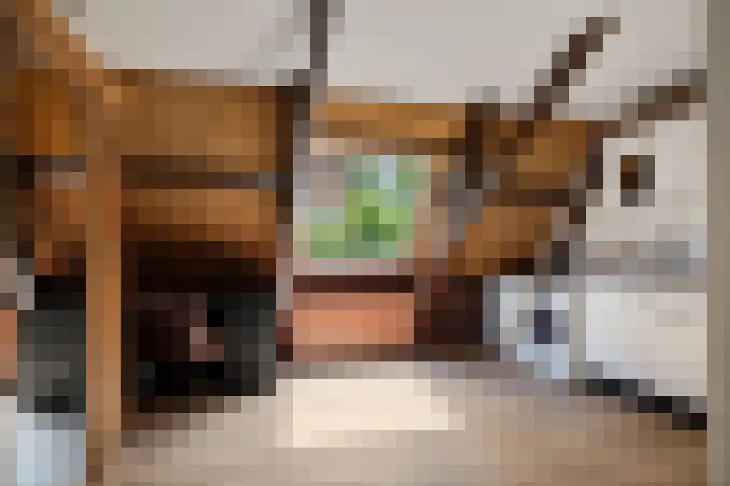 Tsjessenswei 8 Waaxens thumbnail 29