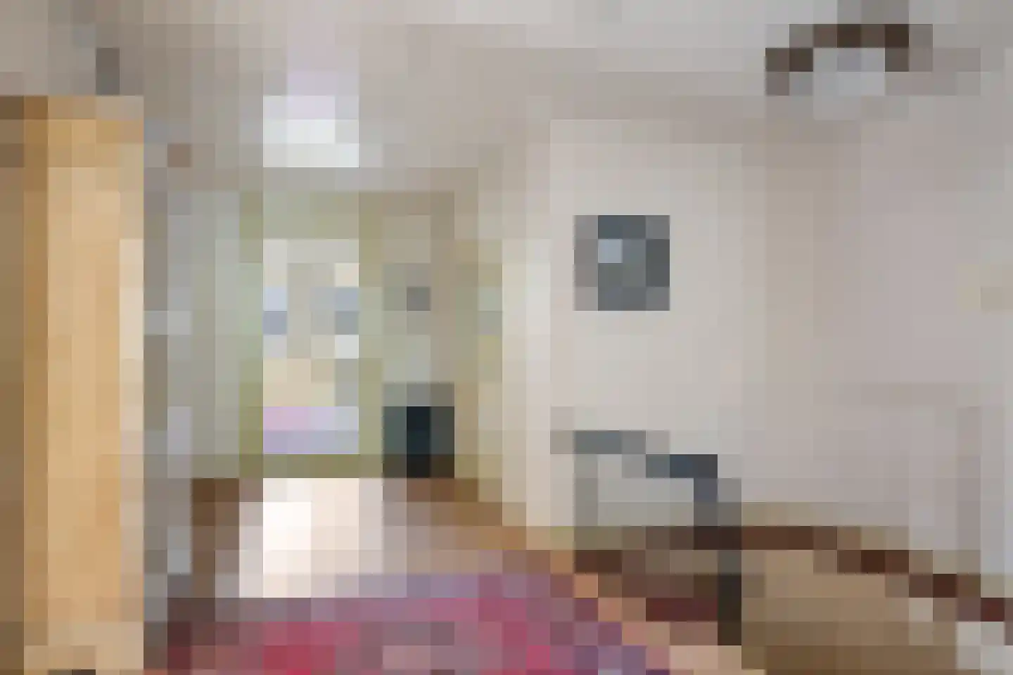 Tsjessenswei 8 Waaxens thumbnail 31