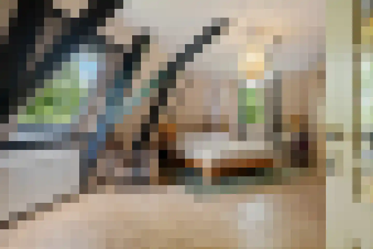 Tsjessenswei 8 Waaxens thumbnail 34