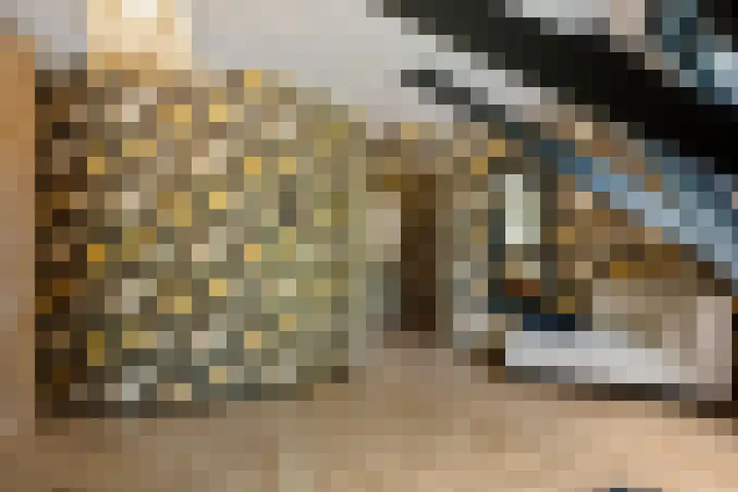 Tsjessenswei 8 Waaxens thumbnail 35