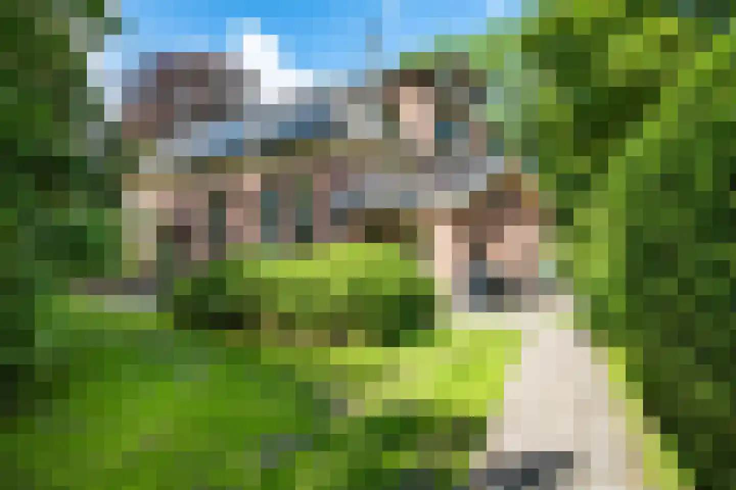 Tsjessenswei 8 Waaxens thumbnail 39
