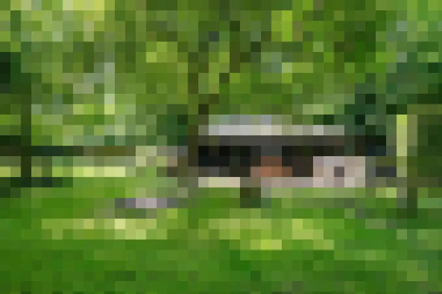 Tsjessenswei 8 Waaxens thumbnail 40