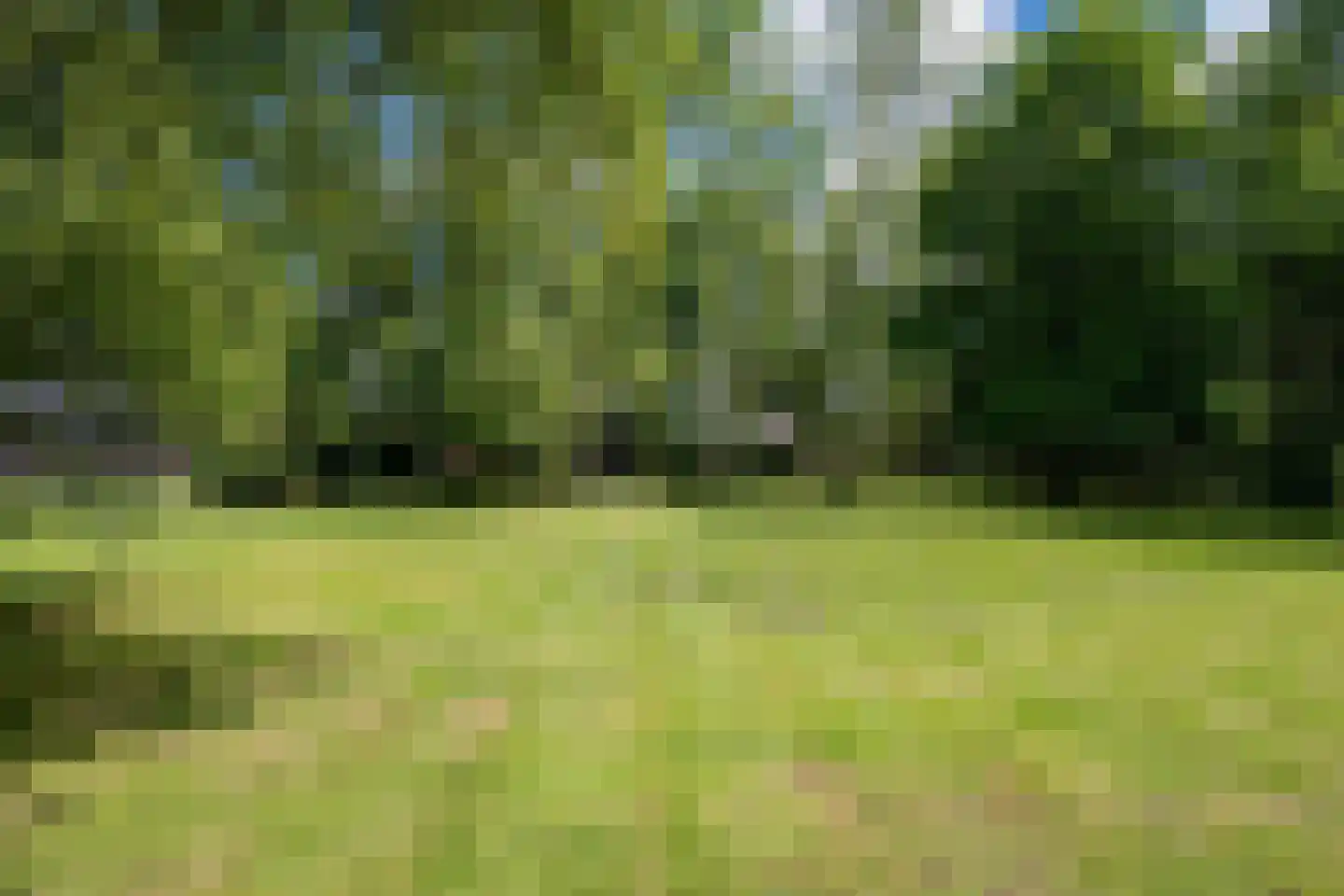Tsjessenswei 8 Waaxens thumbnail 43