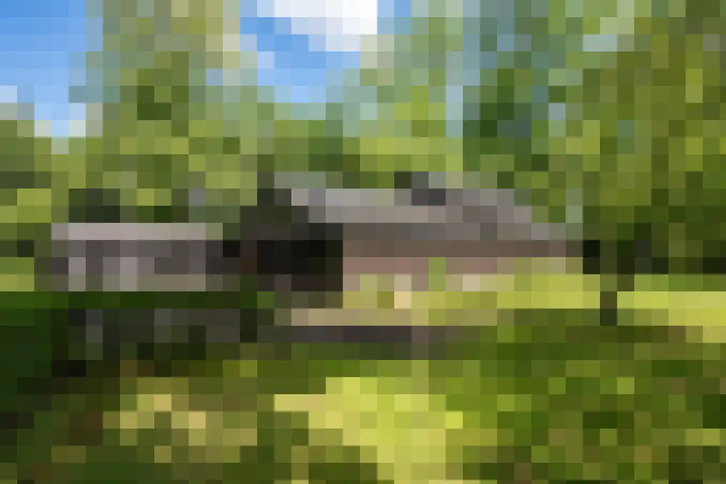 Tsjessenswei 8 Waaxens thumbnail 45