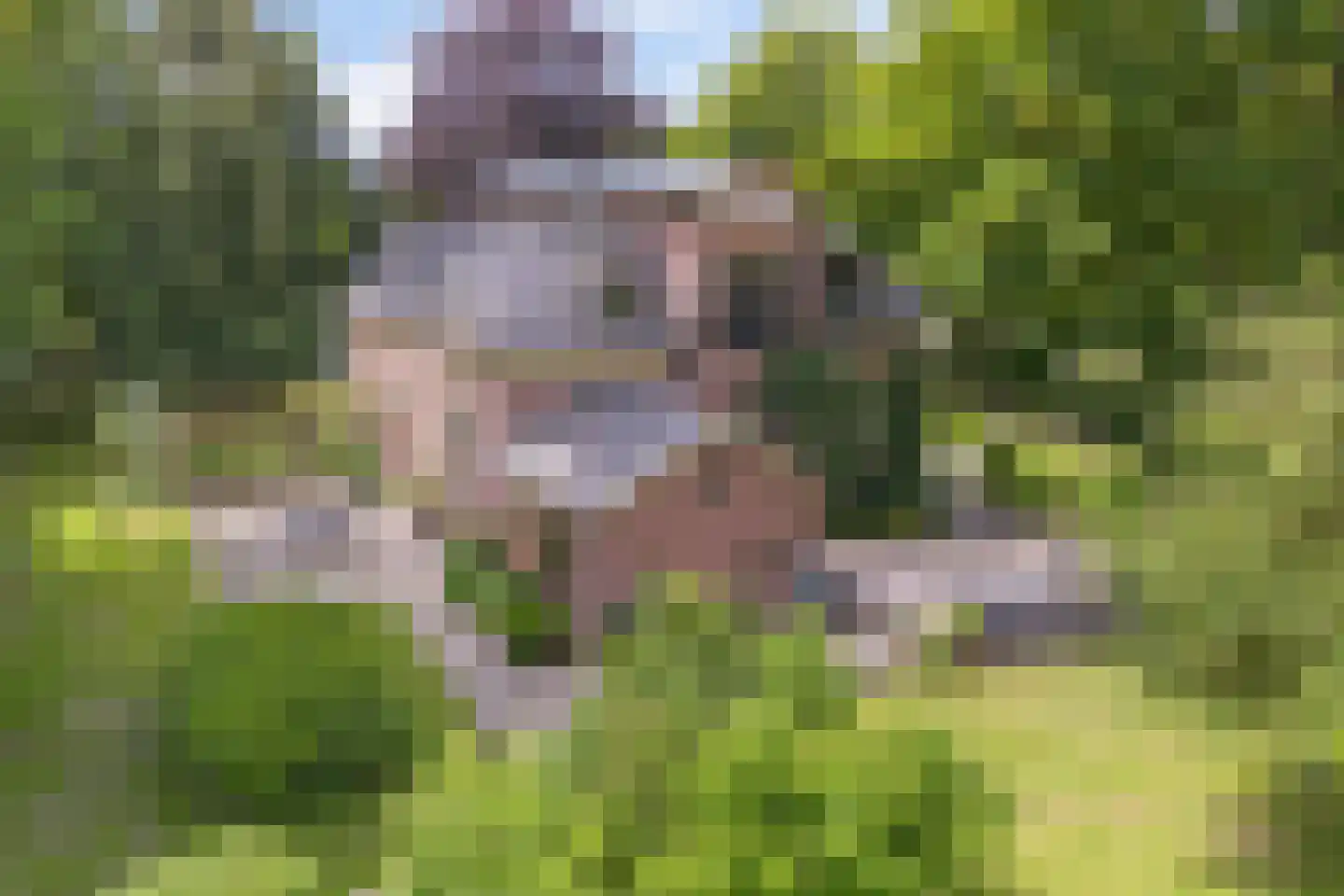 Tsjessenswei 8 Waaxens thumbnail 47