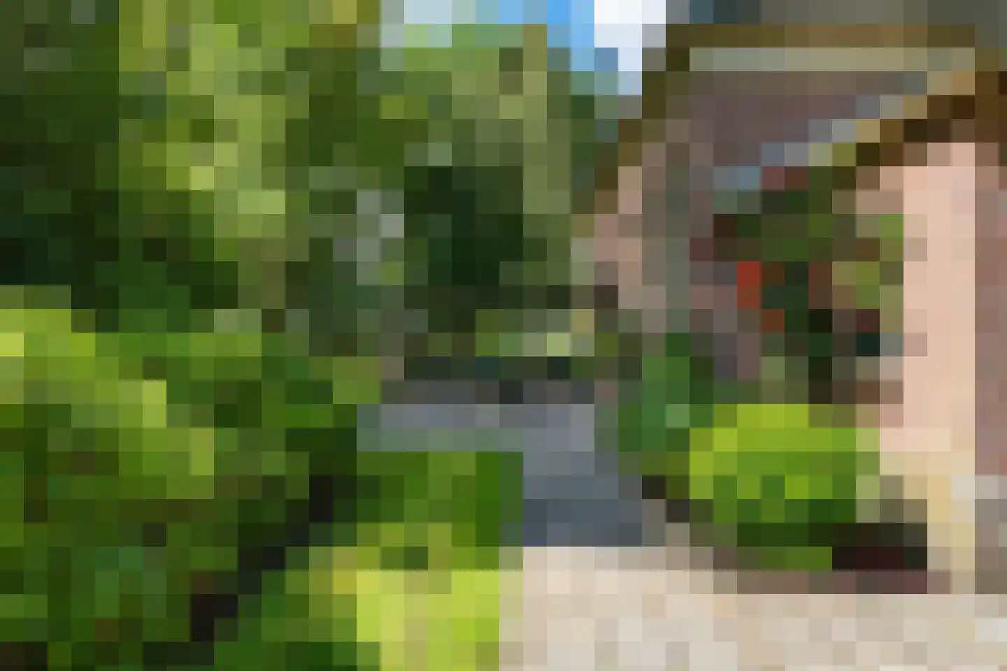 Tsjessenswei 8 Waaxens thumbnail 48