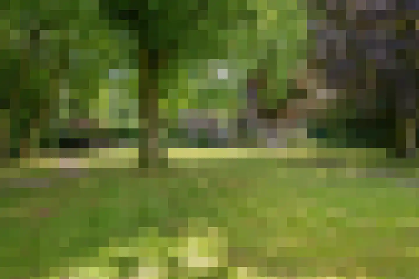 Tsjessenswei 8 Waaxens thumbnail 5