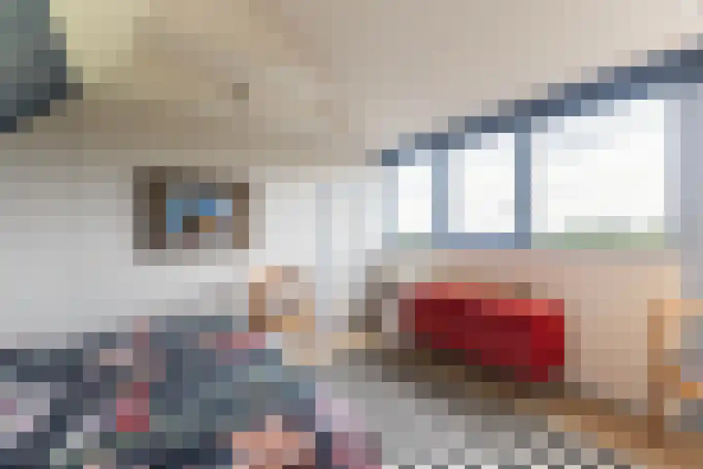 Tsjessingawei 2 Jelsum thumbnail 21