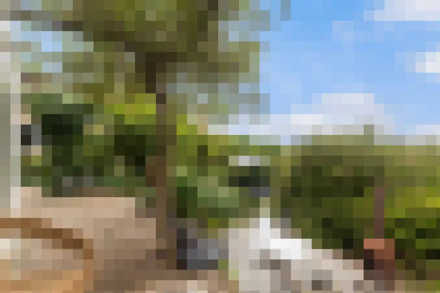 Tsjessingawei 2 Jelsum thumbnail 23