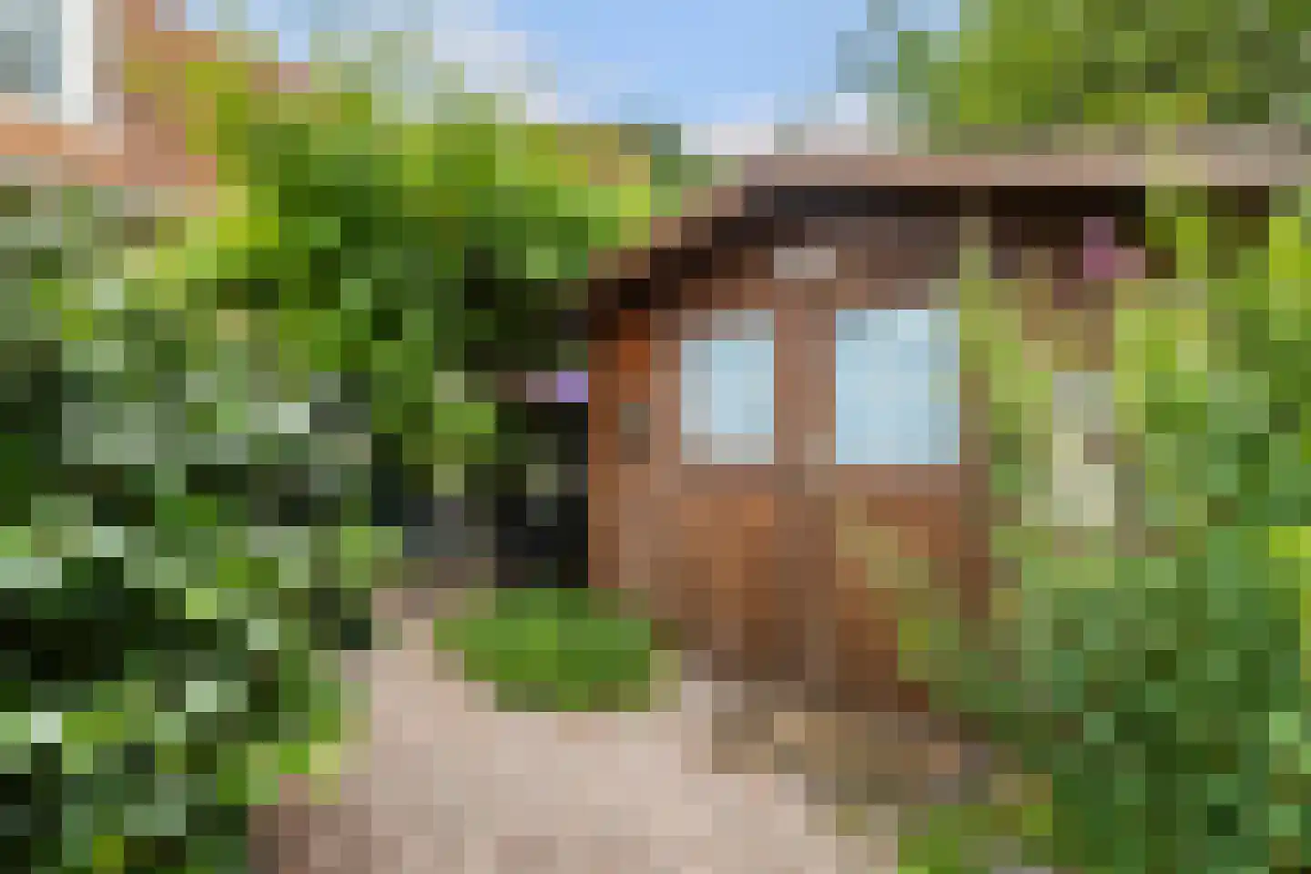 Tsjessingawei 2 Jelsum thumbnail 30