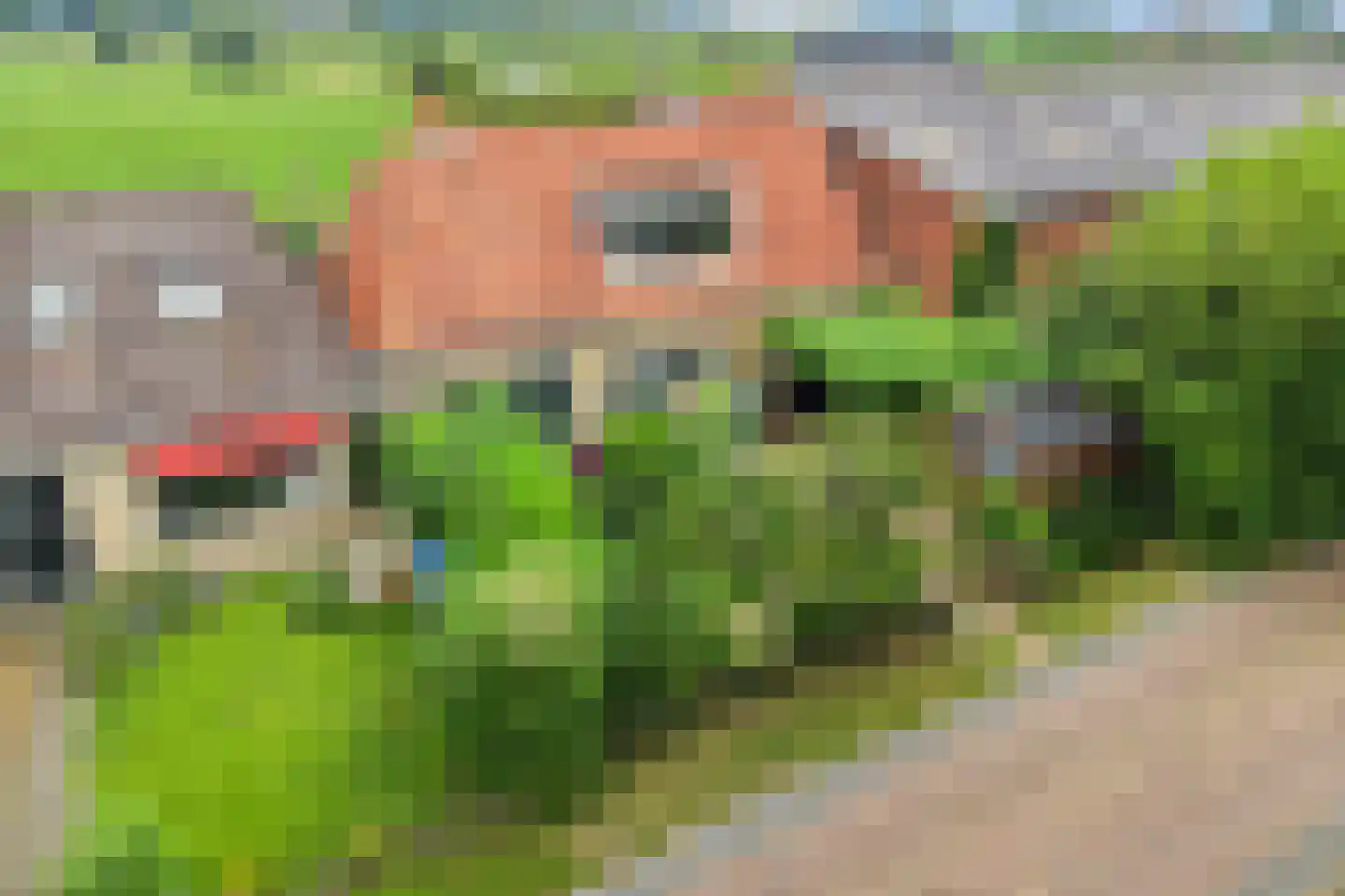 Tsjessingawei 2 Jelsum thumbnail 33