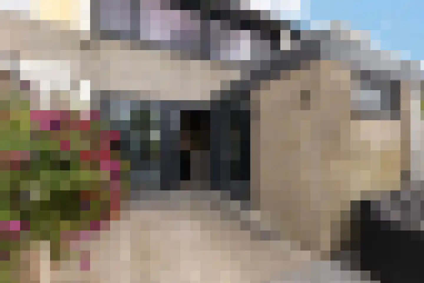 Tsjibbe Geertswei 37 Leeuwarden thumbnail 27