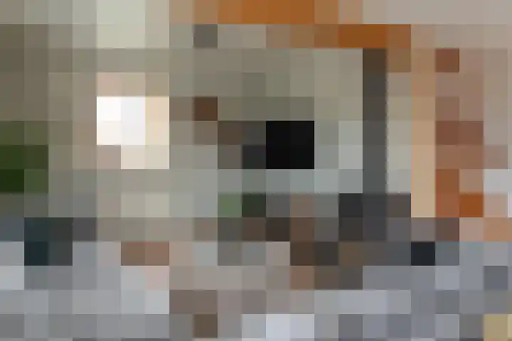 Tsjillânleane 13 Langweer thumbnail 24