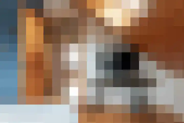 Tsjillânleane 13 Langweer thumbnail 29