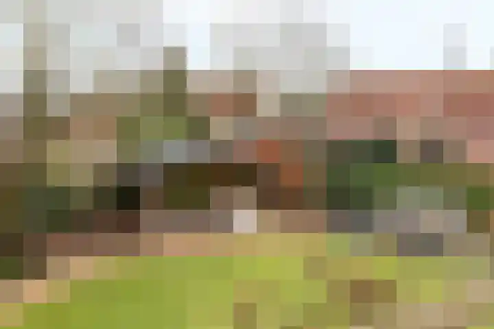 Tsjillânleane 13 Langweer thumbnail 34