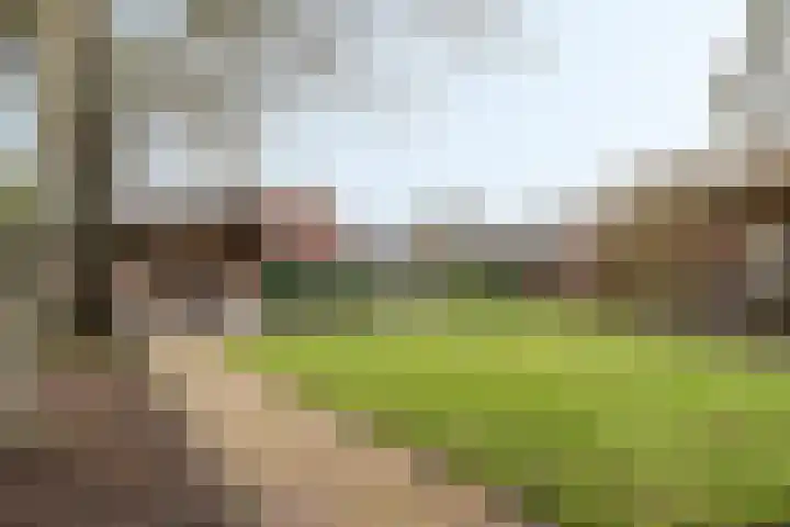 Tsjillânleane 13 Langweer thumbnail 36