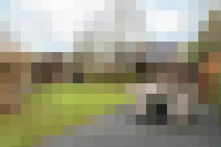 Tsjillânleane 13 Langweer thumbnail 38