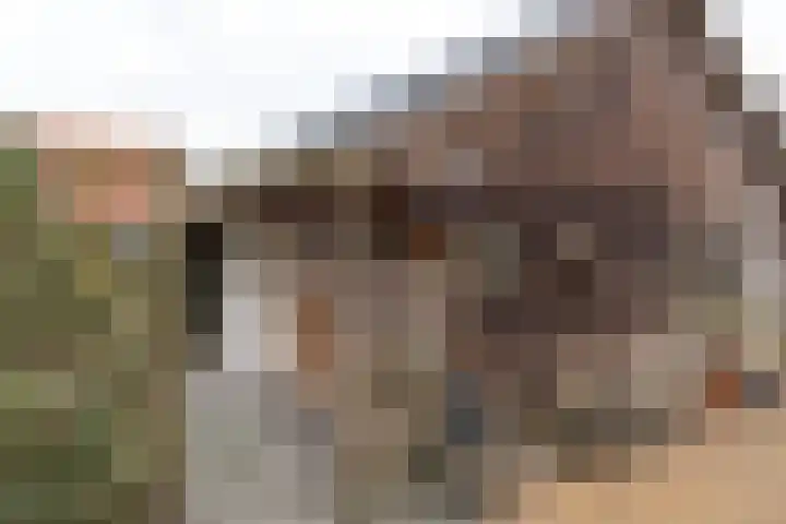 Tsjillânleane 13 Langweer thumbnail 39