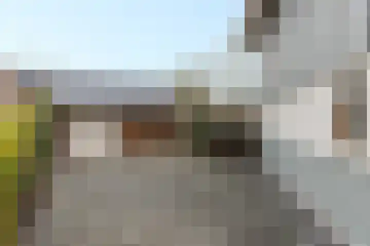 Tsjillânleane 13 Langweer thumbnail 43