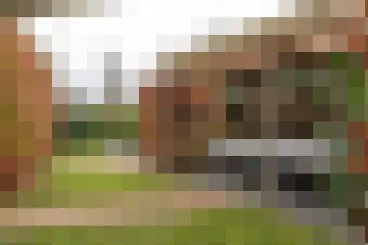 Tsjillânleane 13 Langweer thumbnail 44