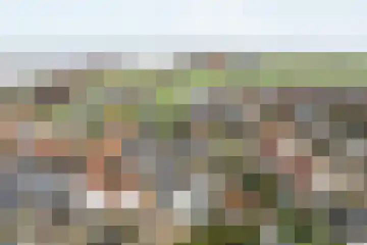 Tsjillânleane 13 Langweer thumbnail 46