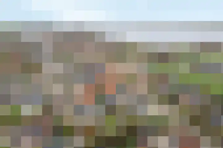 Tsjillânleane 13 Langweer thumbnail 47