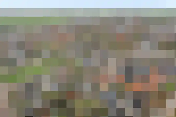 Tsjillânleane 13 Langweer thumbnail 48