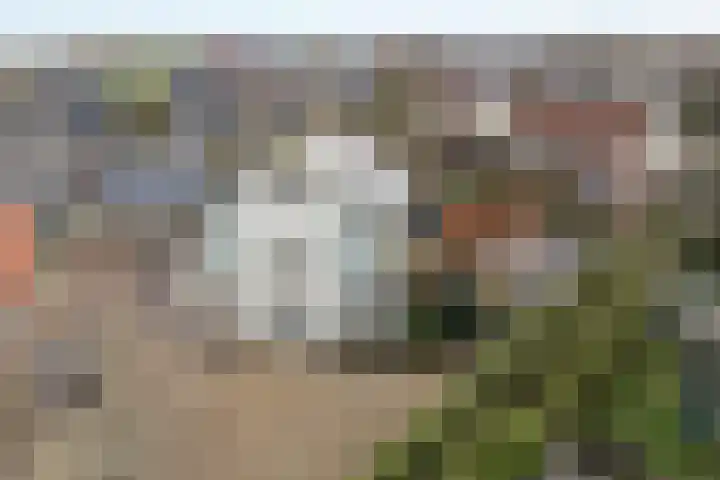 Tsjillânleane 13 Langweer thumbnail 6