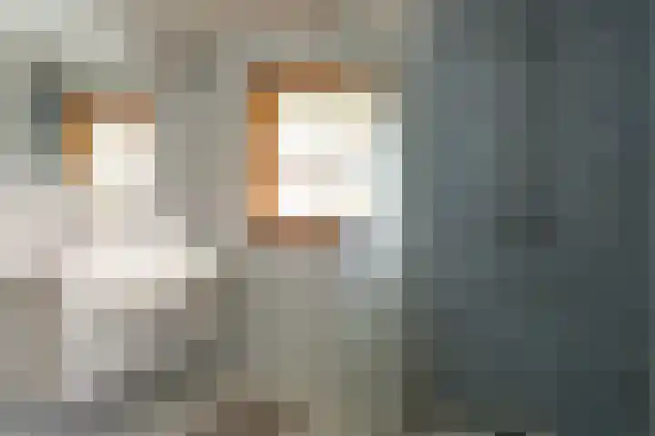 Tsjillânleane 13 Langweer thumbnail 9