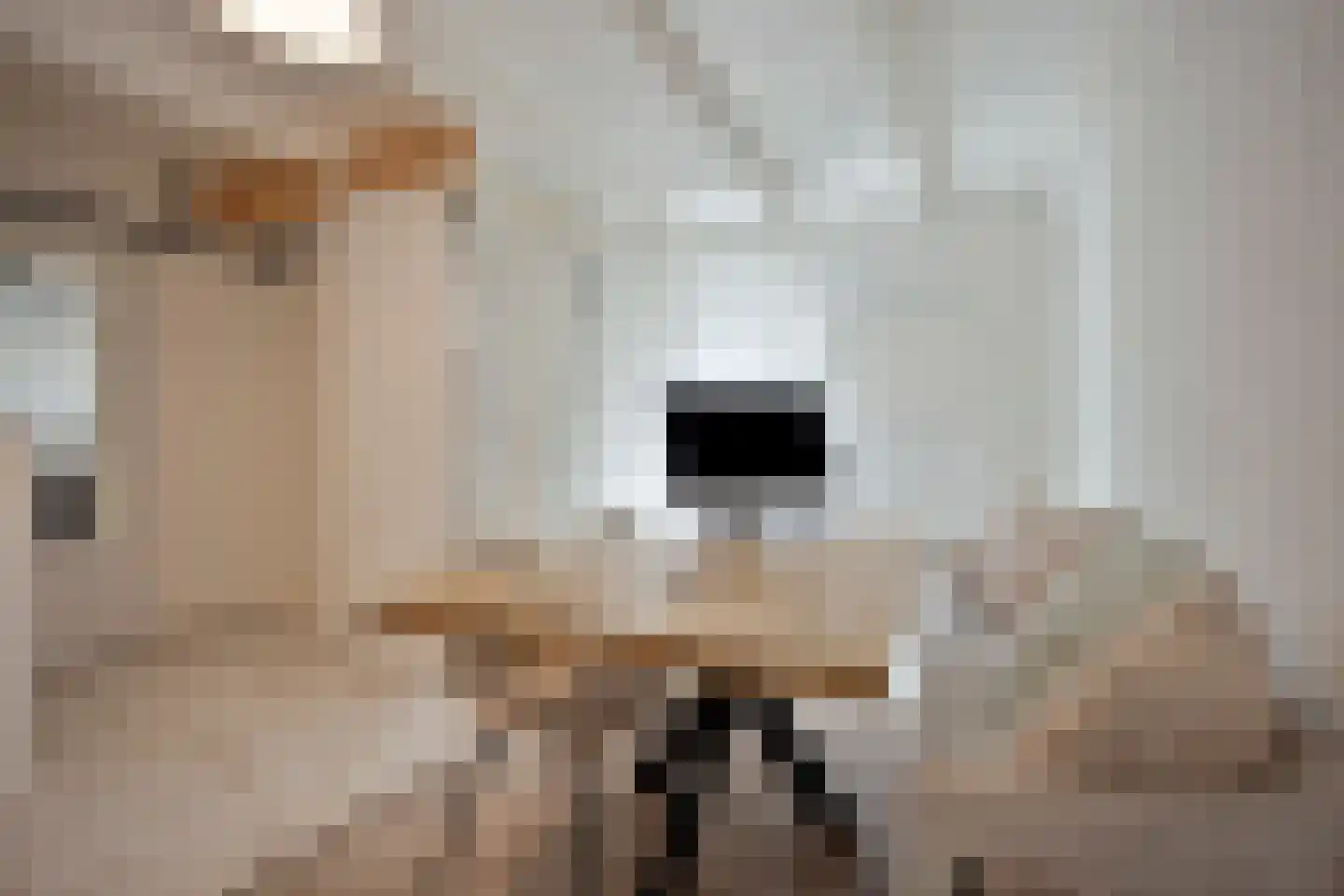 Tsjillen 16 Minnertsga thumbnail 11