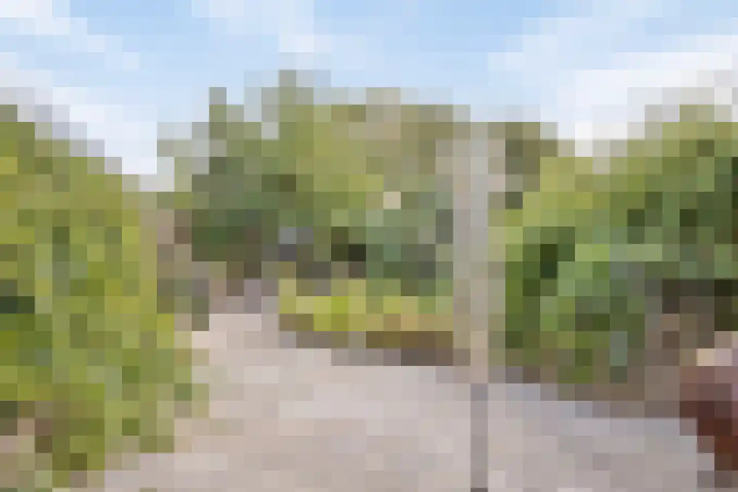 Tsjillen 16 Minnertsga thumbnail 28