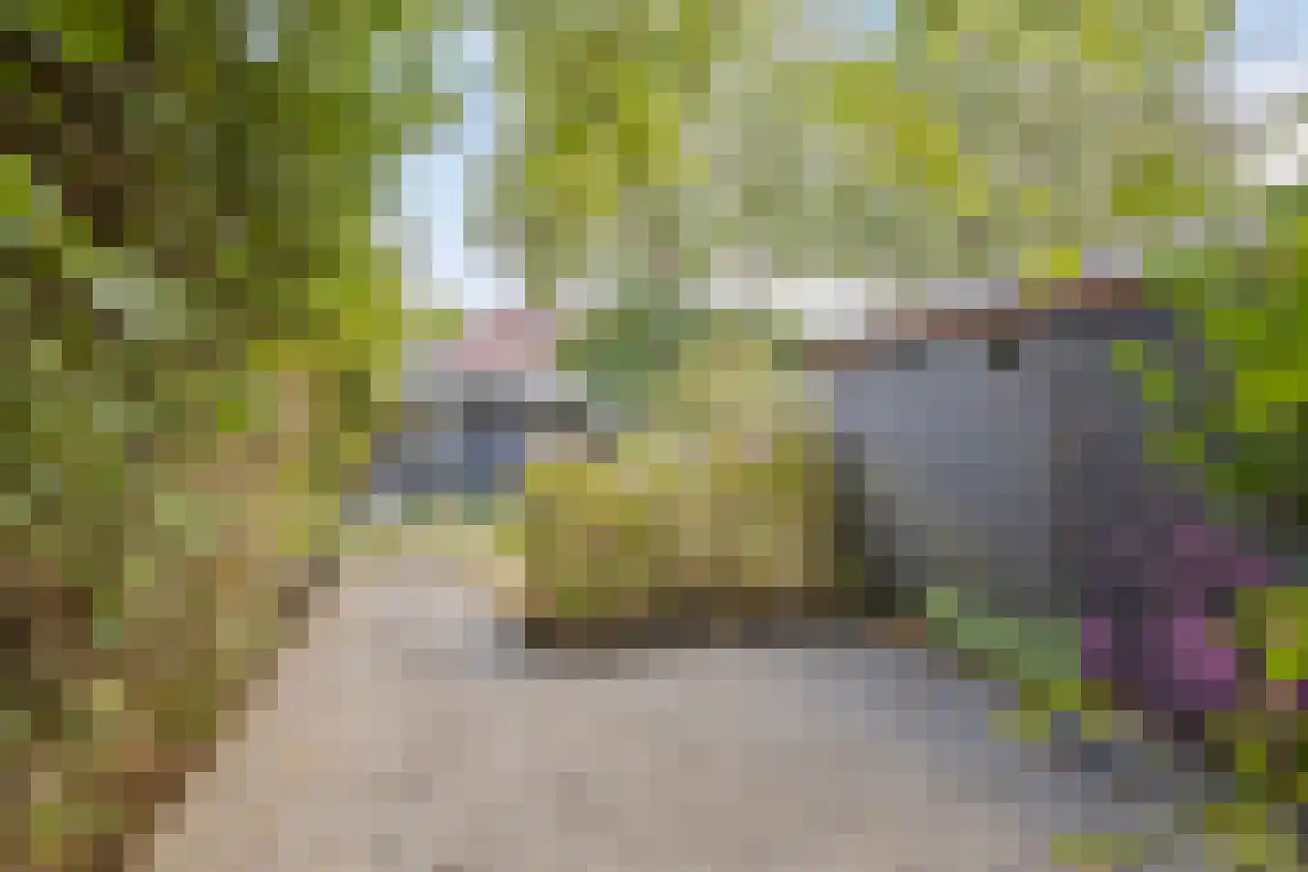 Tsjillen 16 Minnertsga thumbnail 29