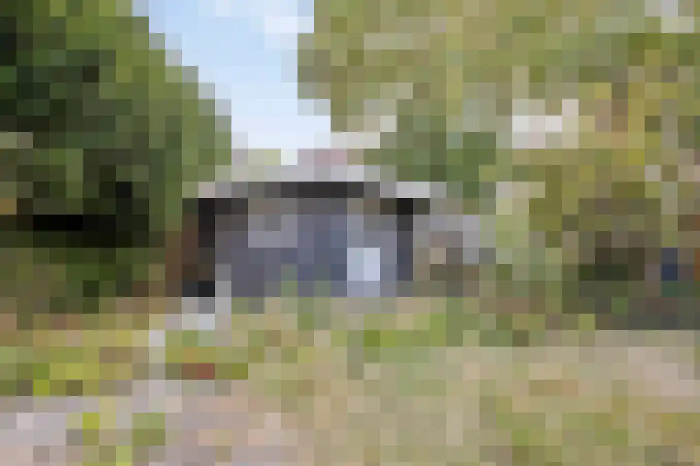 Tsjillen 16 Minnertsga thumbnail 30