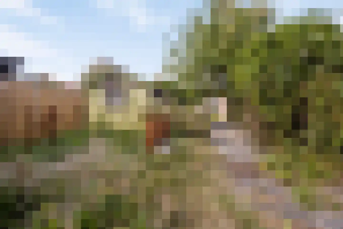 Tsjillen 16 Minnertsga thumbnail 31