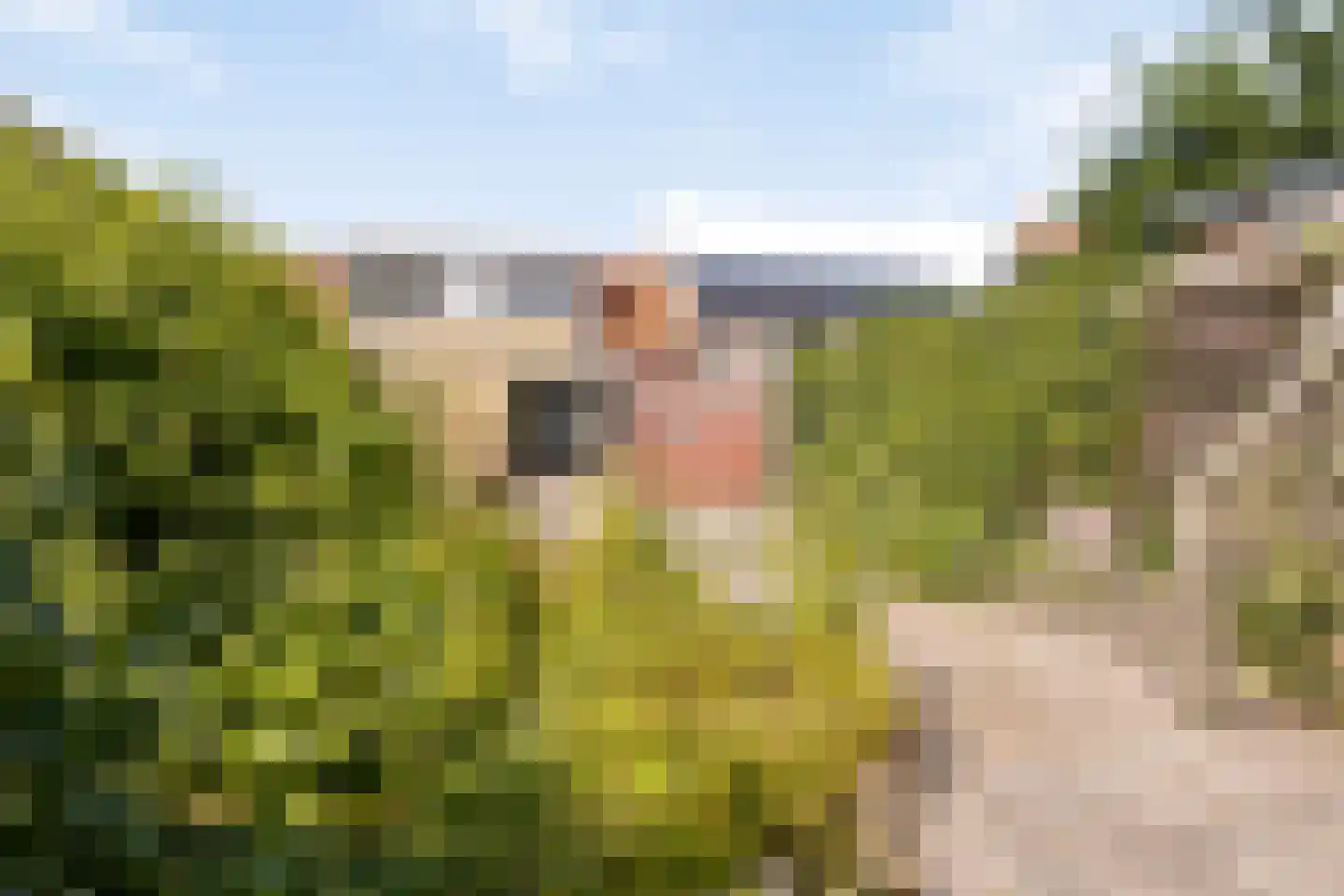 Tsjillen 16 Minnertsga thumbnail 32