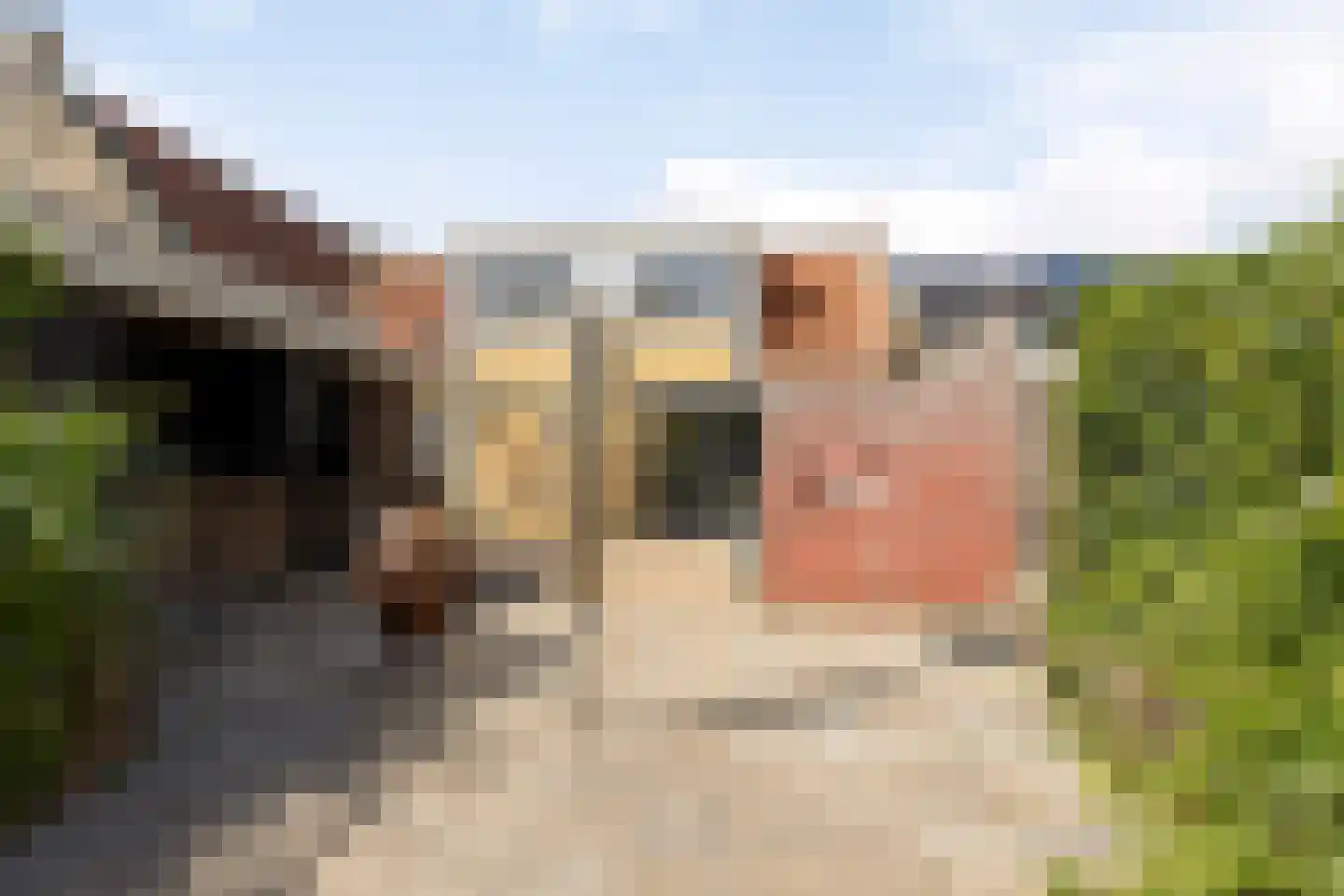 Tsjillen 16 Minnertsga thumbnail 33